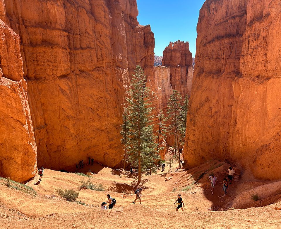 Visiter Bryce Canyon avec ses descentes vertigineuses entre les hoodoos.