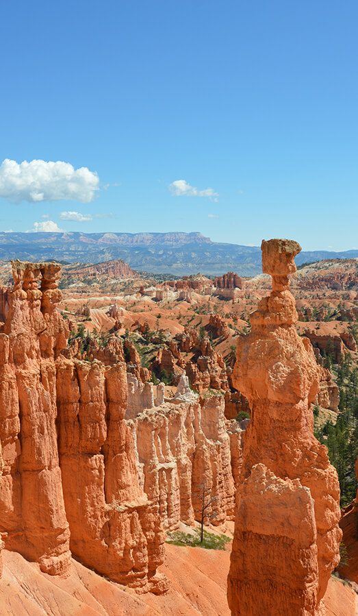 Des hoodoos au premier plan dans le parc de Bryce Canyon