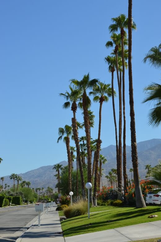 Que faire à Palm Springs ? Découvrir l'architecture locale et les rues magnifiques avec les montagnes en toile de fond