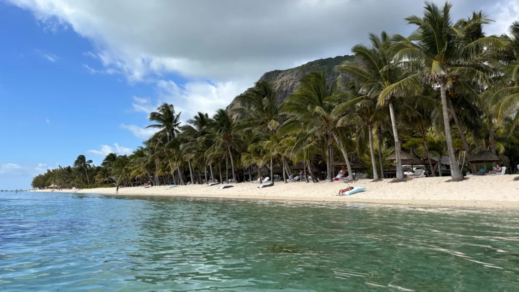 plage le morne palmiers lagon