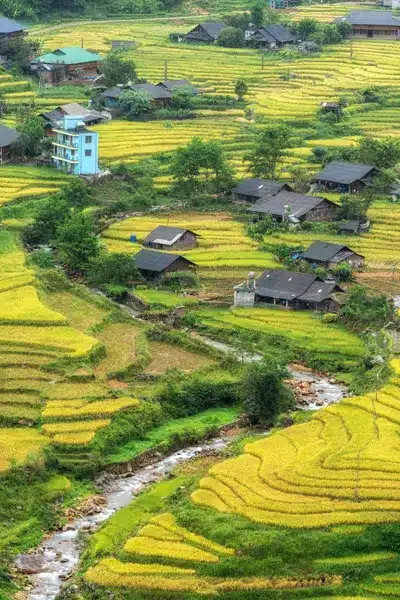 De petites maisons disséminées parmi les rizières en terrasses de Sapa, avec un ruisseau qui traverse la vallée.